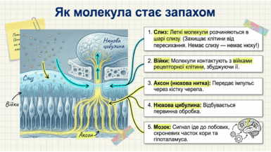 0901qtus-d04b-385x217.png