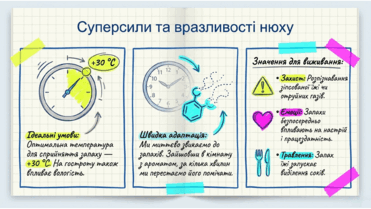 0901qtv6-4e4e-371x209.png