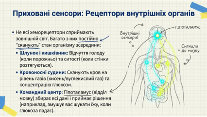 0901qtvo-c903-426x240.png