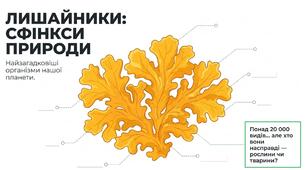 Презентація: "Лишайники " біологія 7 клас НУШ