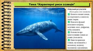 Характерні риси ссавців. Біологія. 7 клас. До підручника Балан П., Козленко О. та ін.