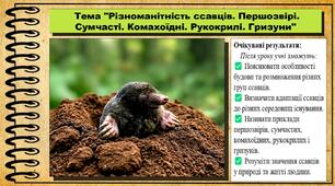 Різноманітність ссавців. Першозвірі. Сумчасті. Комахоїдні. Рукокрилі. Гризуни. Біологія. 7 клас. До підручника Балан П., Козленко О. та ін.