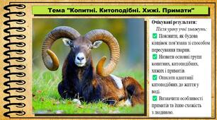 Копитні. Китоподібні. Хижі. Примати. Біологія. 7 клас. До підручника Балан П., Козленко О. та ін.