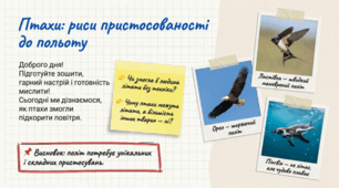 Птахи: риси пристосованості до польоту.7 клас НУШ