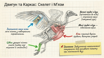 0901qxlk-ad69-409x230.png