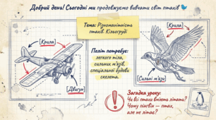 Різноманітність птахів. Кільогруді. 7 клас НУШ