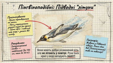 0901qxsp-7a68-381x214.png