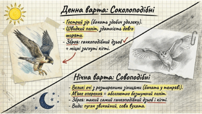 0901qxt4-e427-408x230.png