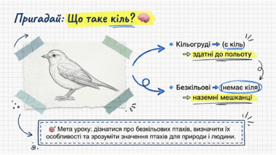 0901qy0l-cb69-395x223.png