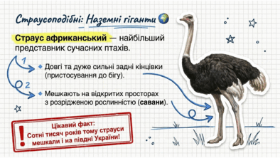 0901qy0v-5ae8-394x222.png