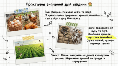 0901qy1k-67e4-410x230.png