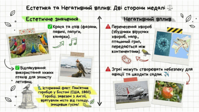 0901qy1u-85a9-398x224.png