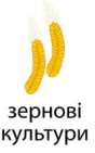 0901qzgd-311a-88x141.png