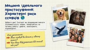 Характерні риси ссавців