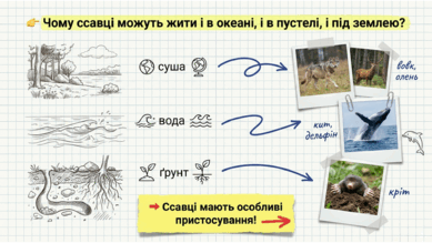 0901qzoc-3b5e-389x219.png