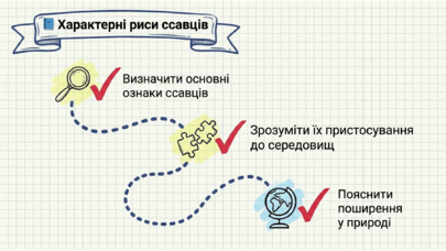 0901qzof-f469-405x228.png
