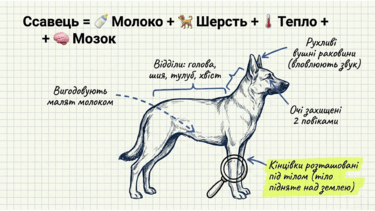 0901qzoq-b19c-375x211.png