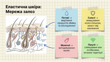 0901qzox-c9f0-423x238.png