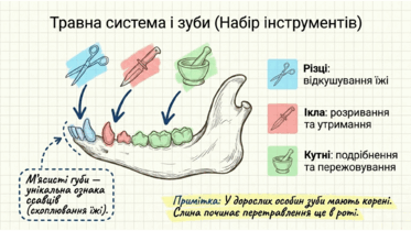 0901qzpn-f2f7-373x210.png