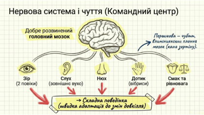 0901qzpu-c0d2-419x236.png