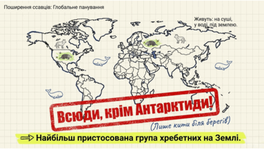 0901qzq0-df57-383x216.png