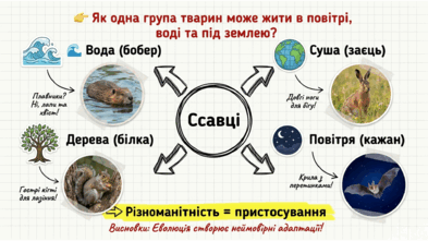 0901qzwj-be44-393x221.png