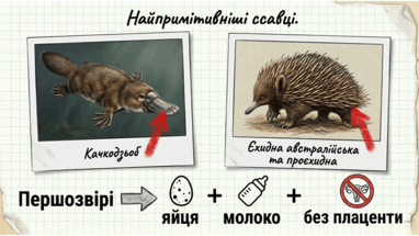 0901qzwv-f26c-382x215.png