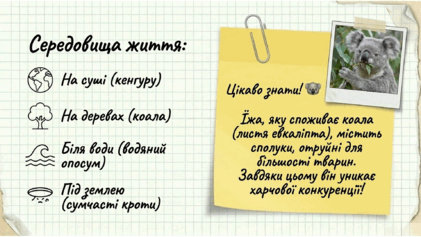 0901qzxd-7245-421x237.png
