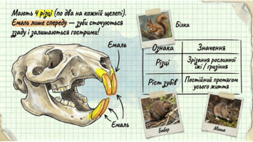 0901qzy7-3344-355x200.png