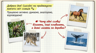 Копитні. Китоподібні. Хижі. Примати. 7 клас НУШ.