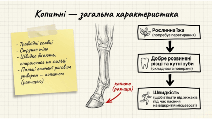 0901r065-ebf3-420x236.png