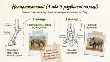 0901r06c-1e2d-369x208.png