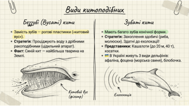 0901r08g-9592-382x215.png