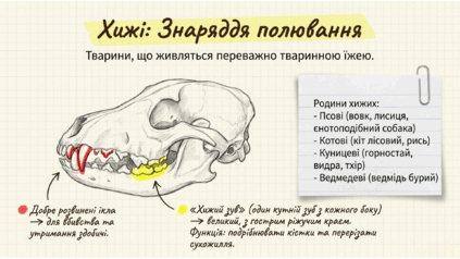0901r08w-aa06-423x238.png