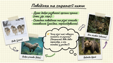 0901r095-2e6f-375x211.png