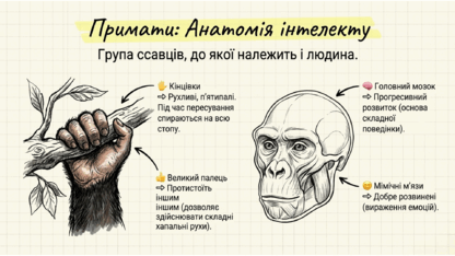 0901r099-9a48-416x234.png
