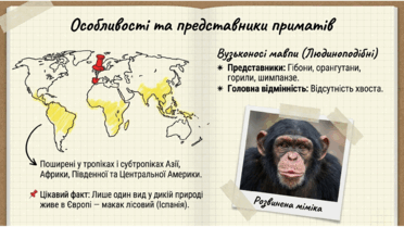 0901r09h-fc99-372x209.png
