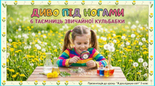 Презентація до уроку: « Диво  під ногами» 6 таємниць про кульбабу.