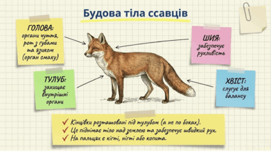 0901r2ga-f0d2-391x220.png