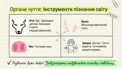 0901r2gk-03ea-401x226.png