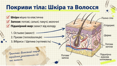 0901r2gv-1093-401x226.png