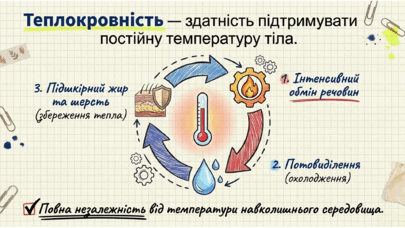 0901r2gz-2258-405x228.png