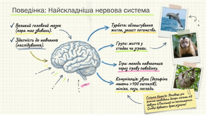 0901r2he-597e-404x227.png