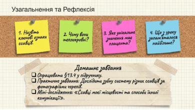0901r2hi-cf3b-390x220.png