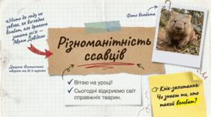 7 клас НУШ. Різноманітність ссавців