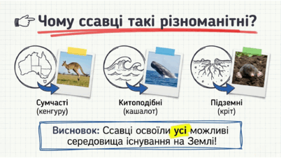 0901r2lw-d346-402x226.png