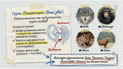 0901r2mm-94c5-405x228.png