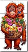 0901r2pd-4b62-111x203.jpg