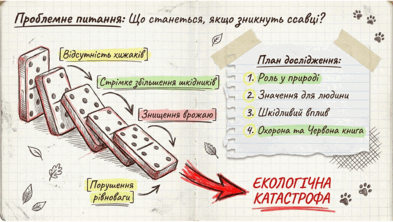 0901r2t1-f479-393x222.png