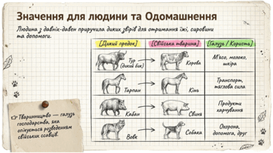 0901r2tg-09df-390x219.png